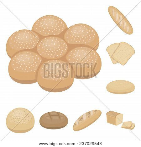 Types Of Bread Cartoon Icons In Set Collection For Design. Bakery Products Vector Symbol Stock  Illu