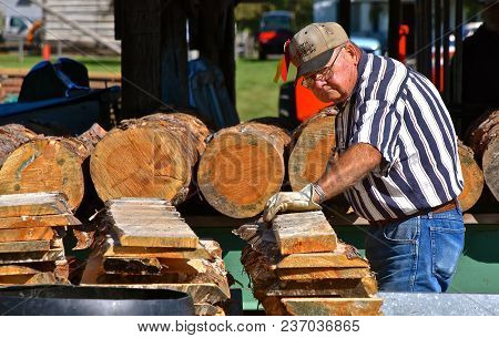 Dalton, Minnesota, Sept 8, 2017: An Unidentified Man(sawyer)  Is Involved With The Cutting Of Logs A