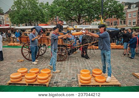 Gouda, Southern Netherlands - June 29, 2017. Young People Carrying Cart With Cheese At The End Of Ma