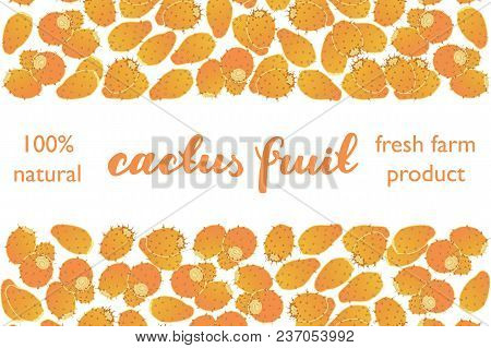 Cactus Fruit