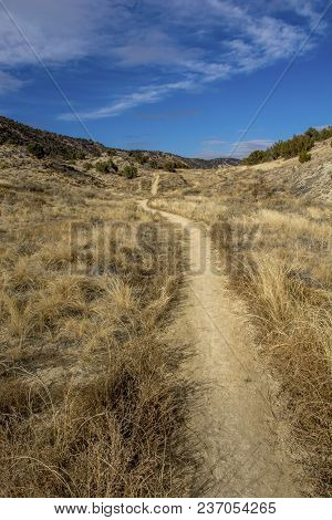 Beneath The Hogback