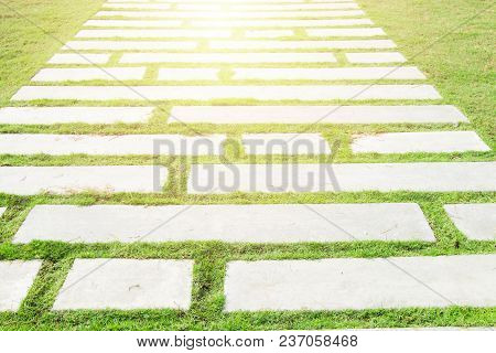 The Walkway Was Built With Cement,passage Through The Green Lawn.