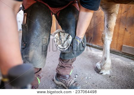 A Blacksmith Works On A Horse Hoof