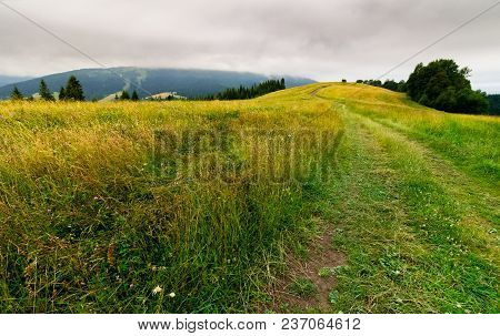 Country Road Through Grassy Fields In Mountains. Lovely Summer Countryside On Overcast Day