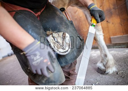 A Blacksmith Works On A Horse Hoof