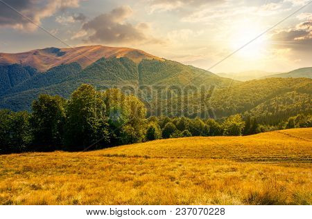 Beech Forest Near Apetska Mountain At Sunset. Lovely Summer Landscape Of Carpathian Mountains