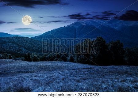 Beech Forest Near Apetska Mountain At Night In Full Moon Light. Lovely Summer Landscape Of Carpathia