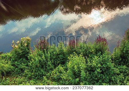 Undergrowth And Flowers On The Bank Of The River Dommel With Clouds Reflected In Its Calm Waters At 