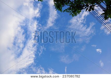 Leaf And Cable On  Blue Sky And Cloud Background. Beautiful Nature Blue Sky With Trees, Looking Up B