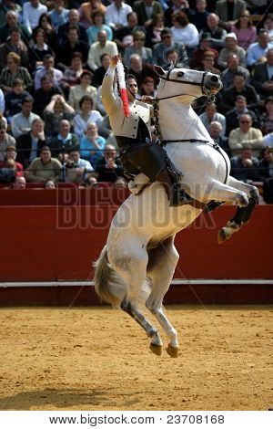 corrida