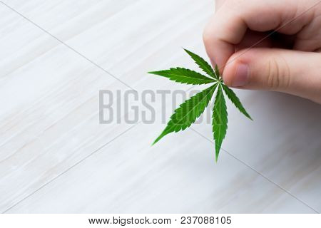 Smiling Kid Child Holding A Hemp Leaf. Concepts Of Using Marihuna For Medicinal Purposes For Childre