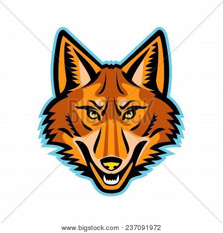 Mascot Icon Illustration Of Head Of A Coyote Or Canis Latrans, A Canine Native To North America View