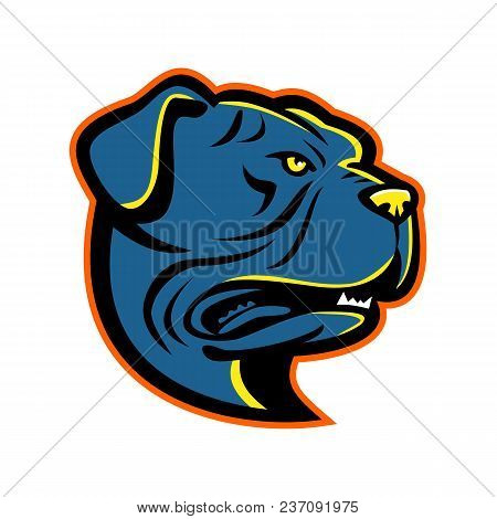 Mascot Icon Illustration Of Head Of A Leavitt Bulldog Looking Up Viewed From Side On Isolated Backgr
