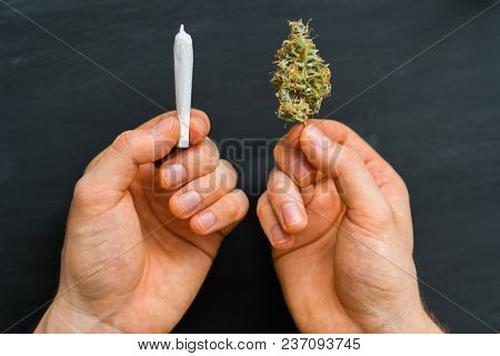 Hand Of Man Rolled Joint Buds Of Marijuana, Unrolled Weed On A White Background Top View Close Comfo