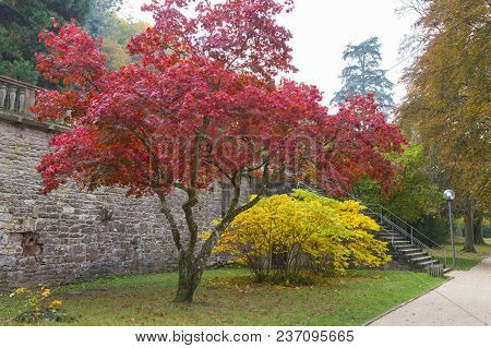 Old Park - The Hortus Palatinus, Or Garden Of The Palatinate: Baroque Garden In The Italian Renaissa