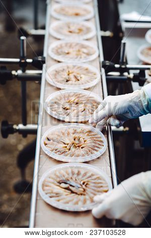 Fish Seafood Factory Industry Production Processing Equipment