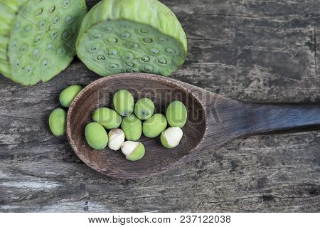 Lotus Seed Or Lotus Nut. The Traditional Chinese And Indian Medicine. Good For Healthy And Can Eat B