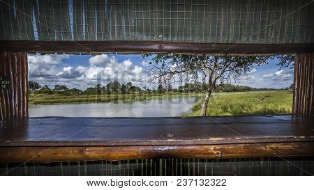 Bird Hide In Mapungubwe National Park, South Africa
