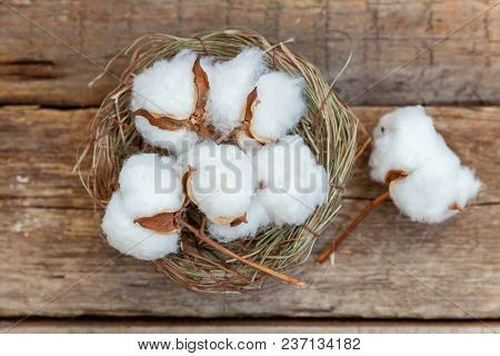 Beautiful White Cotton Flowers In Basket On Rustic Old Vintage Wooden Flat Lay Background. Fabric Cl