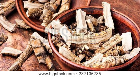 Acorus Calamus Root