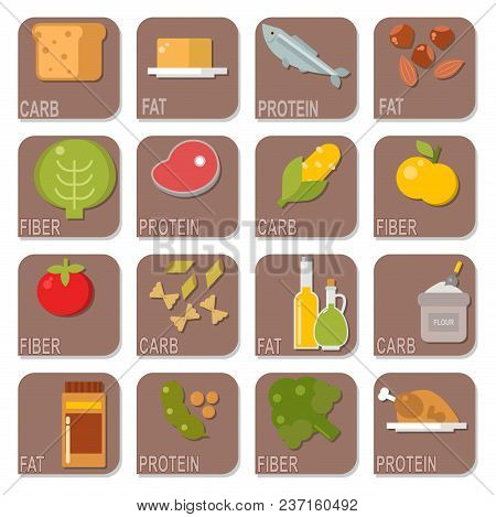 Everyday Food Common Goods Organic Cards Products We Get By Shopping In Supermarket Vector Illustrat