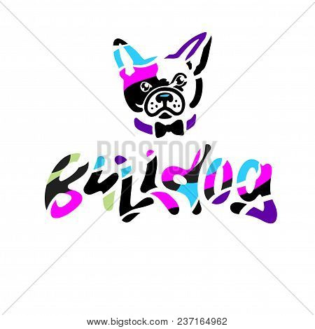 French Bulldog In Bow Tie. Colorful Hand Drawn Lettering And Illustration Of Personage. Vector Artwo
