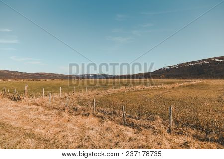 Summer Day View Of A Field In Norway