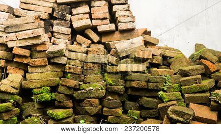 A Collapsed Unused Brik Wall Moss In Pekalongan Indonesia
