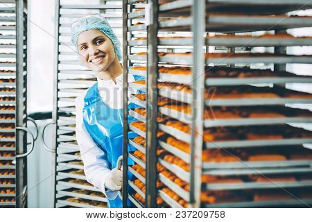 Fish Seafood Factory Industry Production Processing Equipment