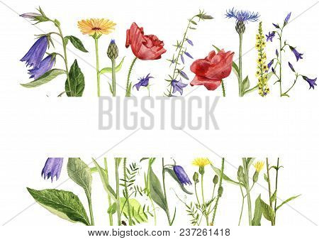 Template With Watercolor Drawing Palnts And Flowers, Hand Drawn Illustration