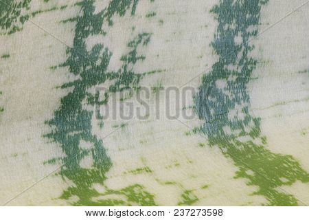The Leaf Of The Sansevieria Texture Or Background. The Macro Shot Is Made By Means Of Stacking Techn