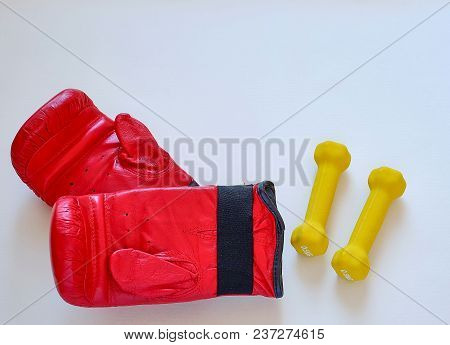 Gloves Lining And Dumbbells For Athlete Boxer