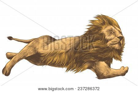 Tiger Lying In The Wreckage With Developing Mane, Sketch Vector Graphics Colored Drawing