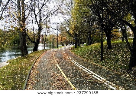 Beautiful View Of The Avenue In The Spring, Autumn.