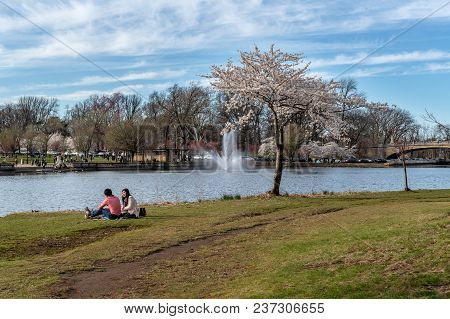 Newark, New Jersey - April 21 - A Young Couple Relaxes Along The Shore Of  The Cherry Blossom Festiv