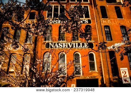 Blossom Of The Tree On Sunrise On Background With Building With Nashville Sign . Nashville Tennessee
