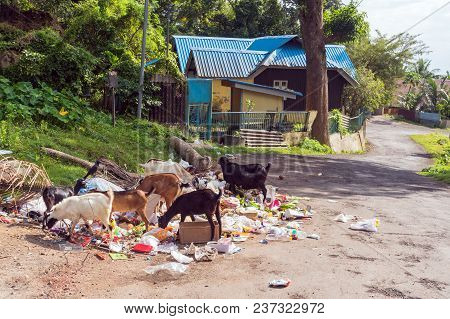 Dump On The Streets Of Port Blair. Dirty Streets Of Asian Cities. Environmental Problems In India. G