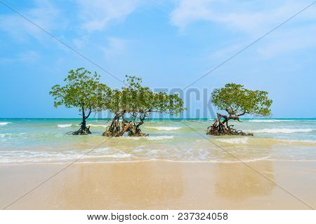 Andaman And Nicobar Islands. India. North Passage Island. Beautiful Sea Landscape With Turquoise Wat