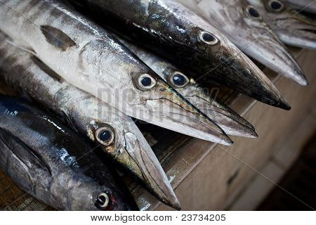 Close up di pesce sul display in un suq/mercato del pesce (Muscat, Oman)