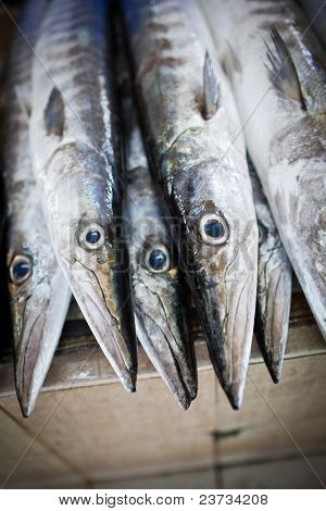 Close up di pesce sul display in un suq/mercato del pesce (Muscat, Oman)