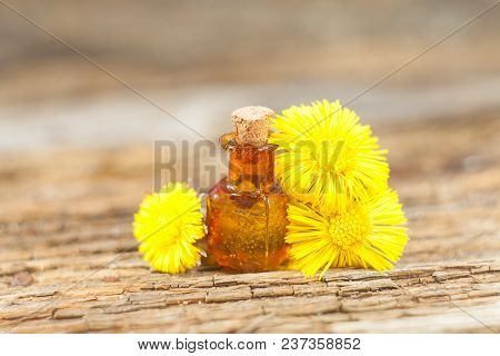 Foalfoot Essential Oil In A Beautiful Bottle On The Table