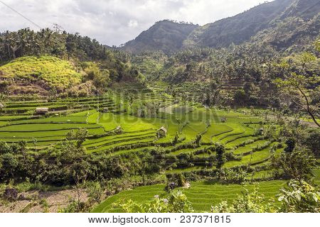 Bali: Pulau Bali, Provinsi Bali) Is An Island And Province Of Indonesia.