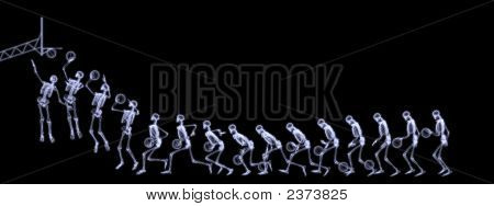 Xray Of Human Skeleton Playing Basketball