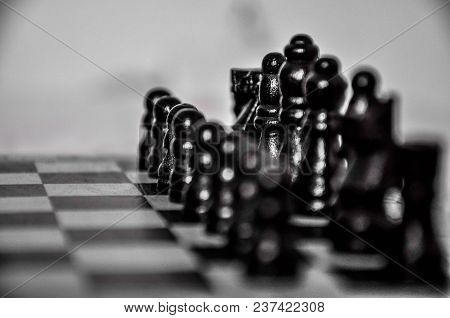 Chess Figures Lined Up And Ready For Match