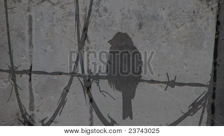 Silhouette der Vogel am Draht