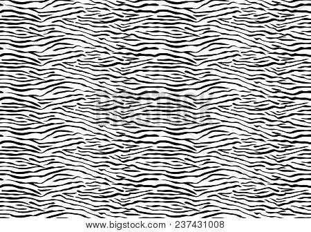 Abstract Black And White Zebra Stripes Seamless Pattern With A High Density Of The Sand Dunes