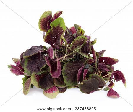 Closeup Red Spinach Isolated On White Background