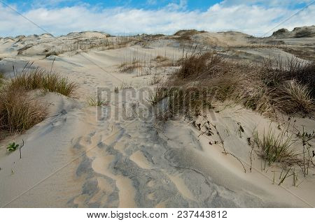 Sand Dunes Footpath:   Windblown sand fills the tracks of hikers on a path across the dunes at Cape Hatteras National Seashore.