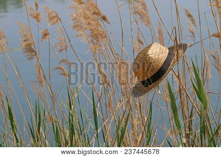 Straw Hat In The Reeds At The Lake.