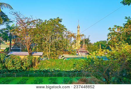 The Tall Golden Stupa Of Dawakonenadi Monastery Is Seen Through The Lush Greenery, Nat Chaung Ward, 